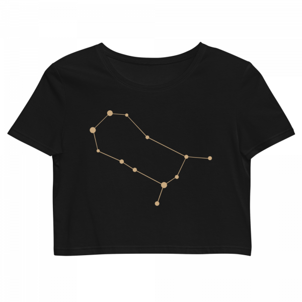 Crop top orgánico Constelación Géminis
